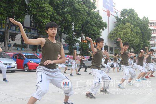 武术协会成员正在认真练习