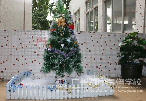 学校里摆放的圣诞树，洋溢着圣诞气氛