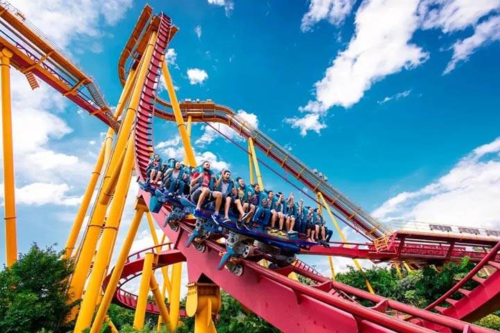 广州万通夏令营开营啦！